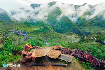Banaue Travel Guide: Home of Rice Terraces in the Philippines
