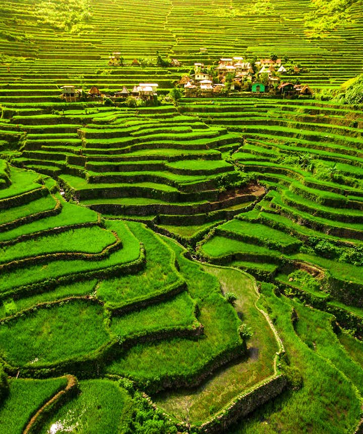Close up view of one of the UNESCO World Heritage Sites, the Batad Rice Terraces