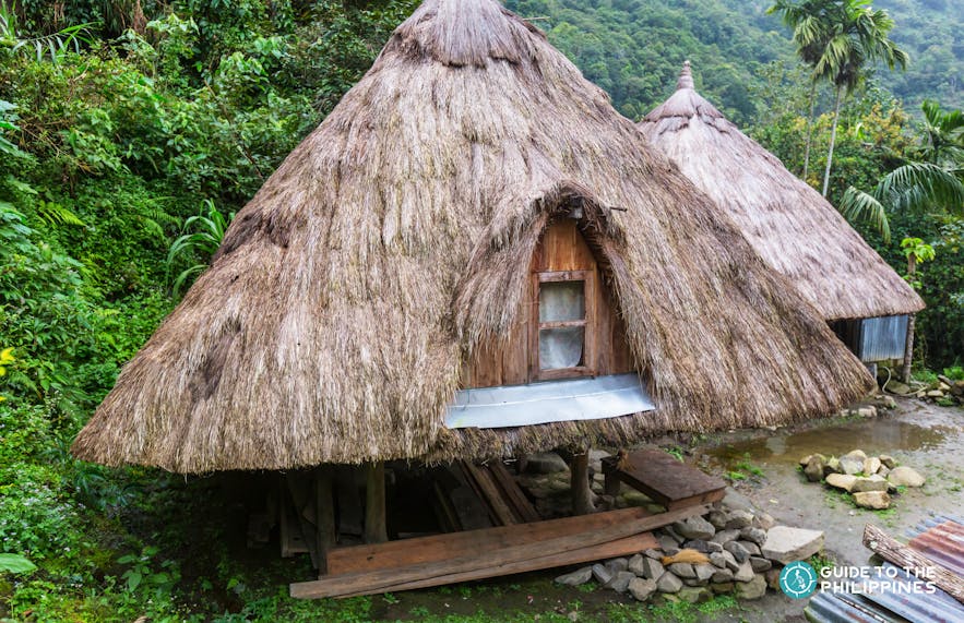 Traditional native house with cogon roofing in Tam-An Village, Banaue