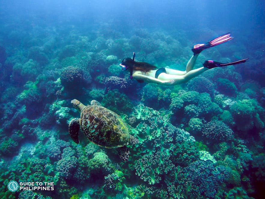 Woman diver at Apo Island, Negros