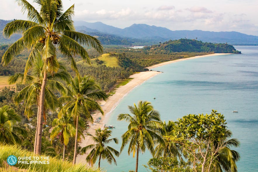 Palm trees and Long Beach in San Vicente, Palawan