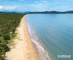 San Vicente Palawan Travel Guide: Home of the Longest Beach in the Philippines
