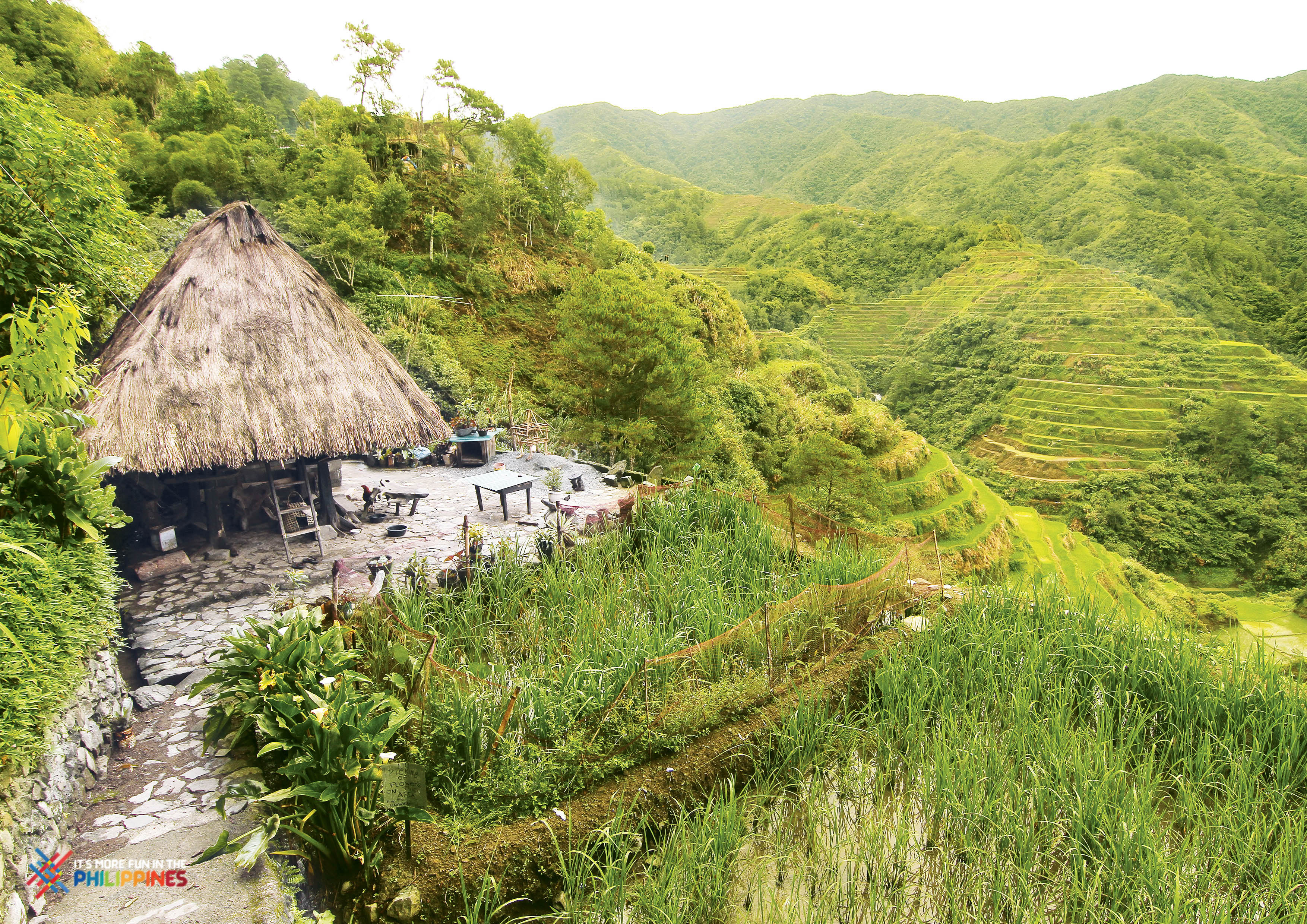 Top 18 Banaue Tourist Spots: Rice Terraces And Nature Tri...