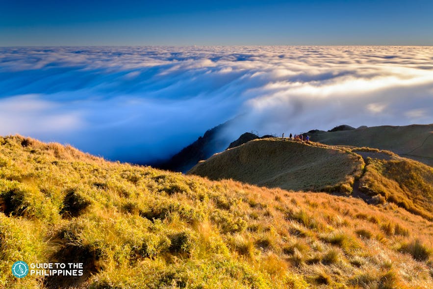 Aerial view of Mt. Pulag's Sea of Clouds