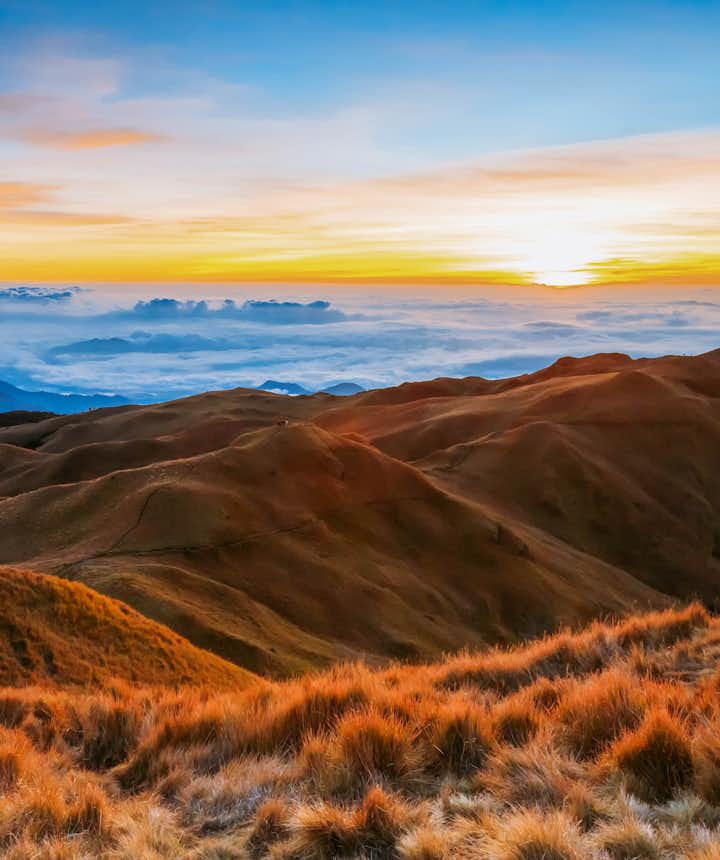 A cloud inversion on top of Mt. Pulag, the second highest peak in the Philippines