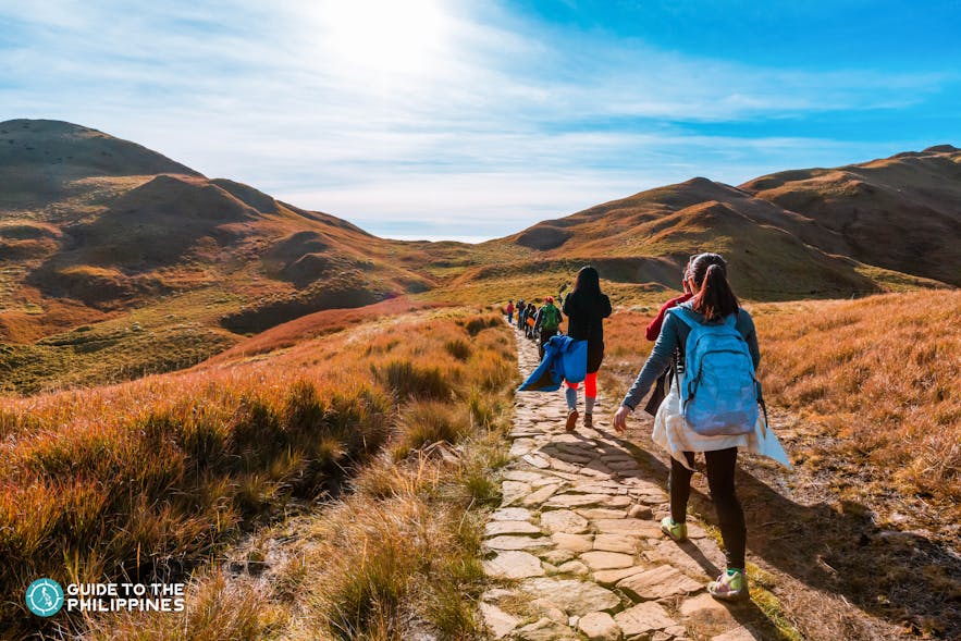 Beginners' hiking trail in Mt. Pulag, Benguet 