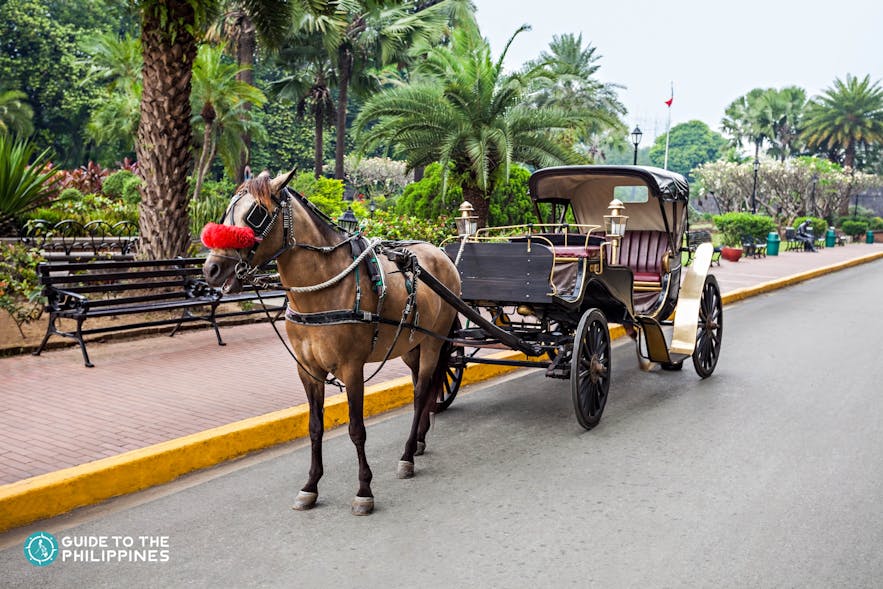 A parked kalesa or horse-drawn carriage in Manila, Philippines