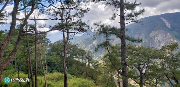 Top 19 Tourist Spots in Baguio Philippines: Scenic Parks, Art Museums, Strawberry Farm