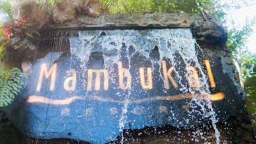 Mambukal Resort Private Day Tour with Transfers from Bacolod
