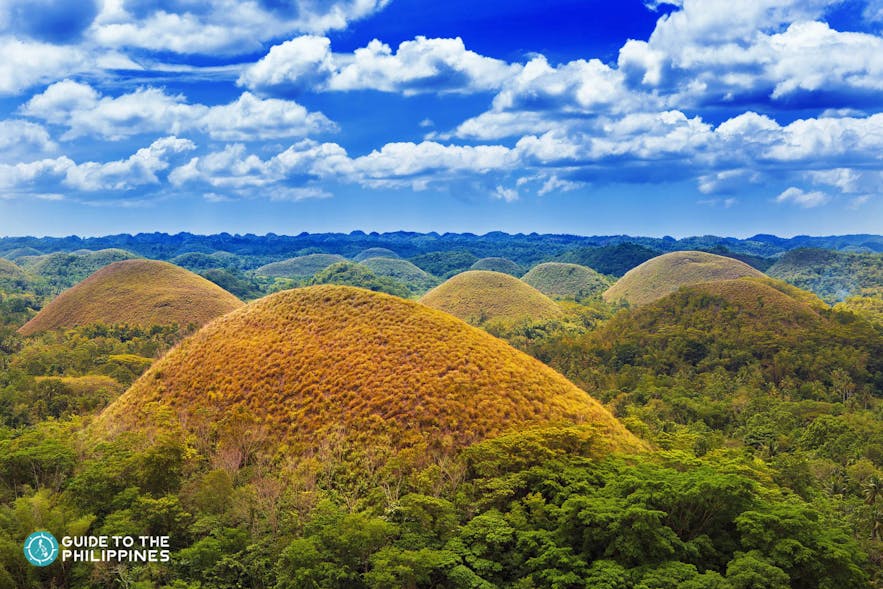 View of the Chocolate Hills in Bohol during dry season