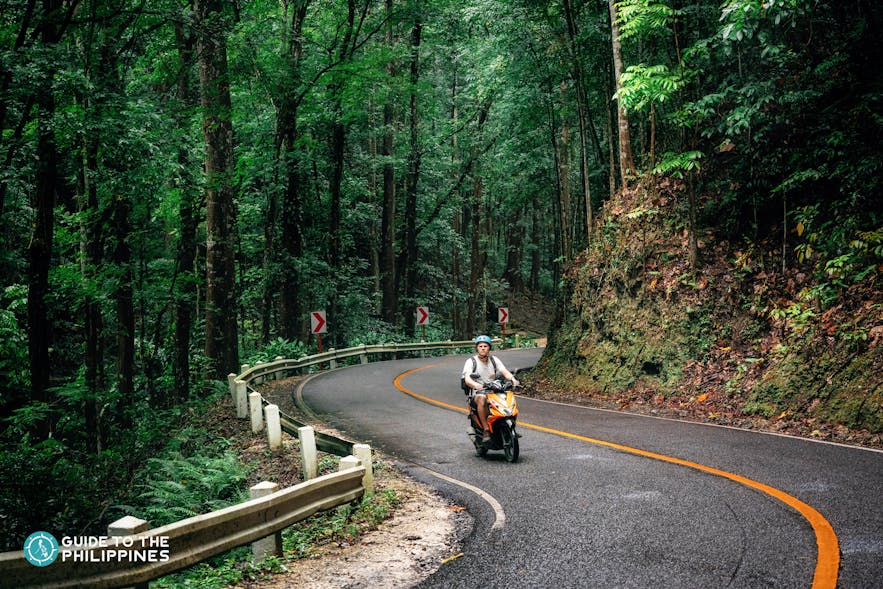 Traveler wandering through the Bilar Man-Made Forest on a motorcycle