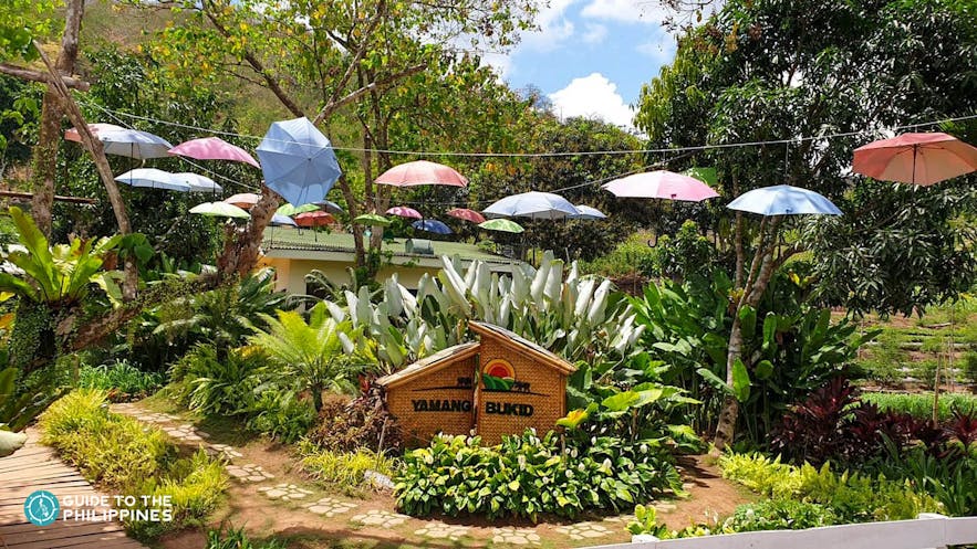 Yamang Bukid Farm in Puerto Princesa, Palawan