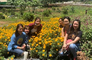 Puerto Princesa Yamang Bukid Farm Private Tour with Lunch & Transfers