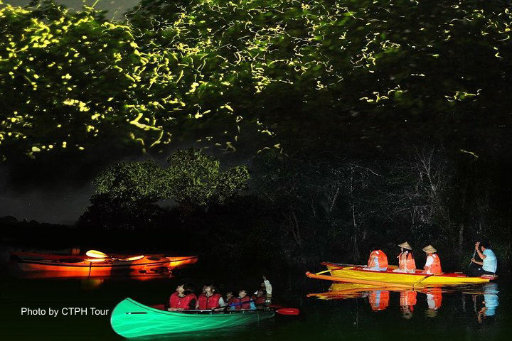 iwahig firefly watching tours