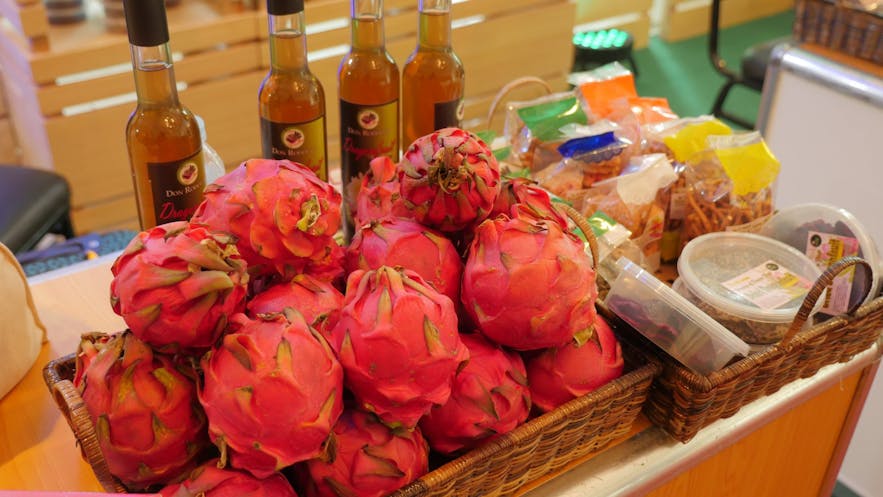 Dragonfruit products in Ilocos Norte