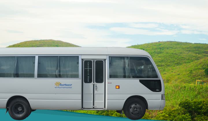 Bacolod City to Binalbagan/La Castellana Private Minibus Transfer