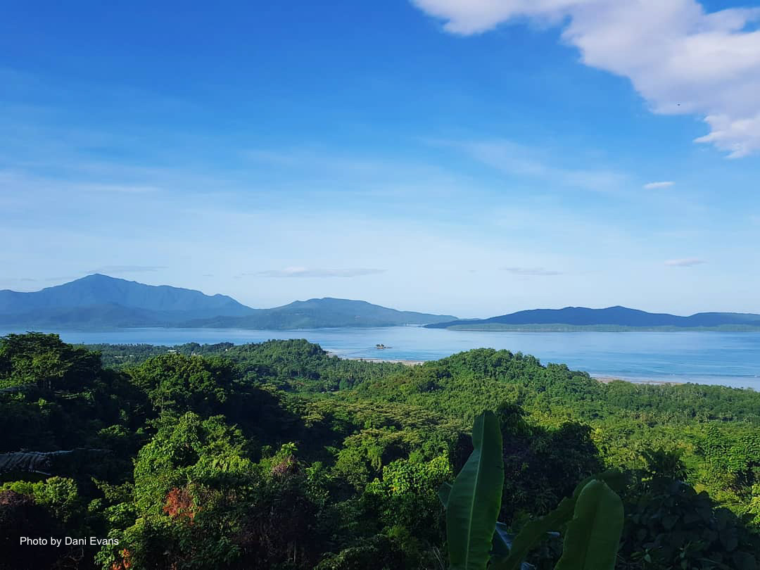 Lush forest in Palawan and the beautiful sight of Ulugan Bay