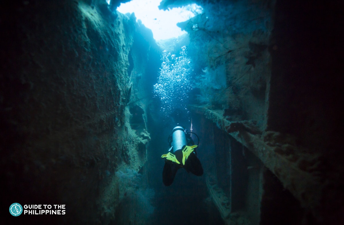 Guide to Diving in Coron Palawan: Explore Shipwrecks from...