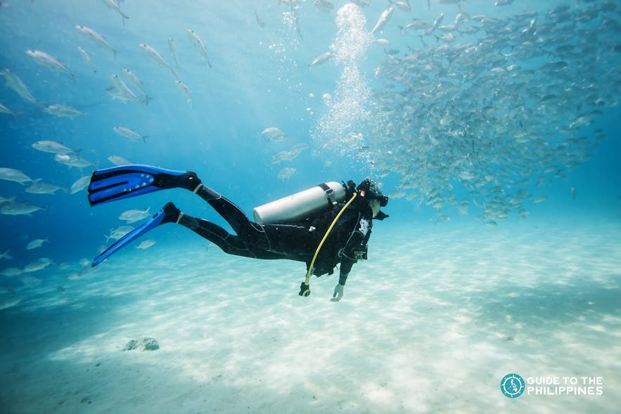 Diver in Dimakya Island in coron