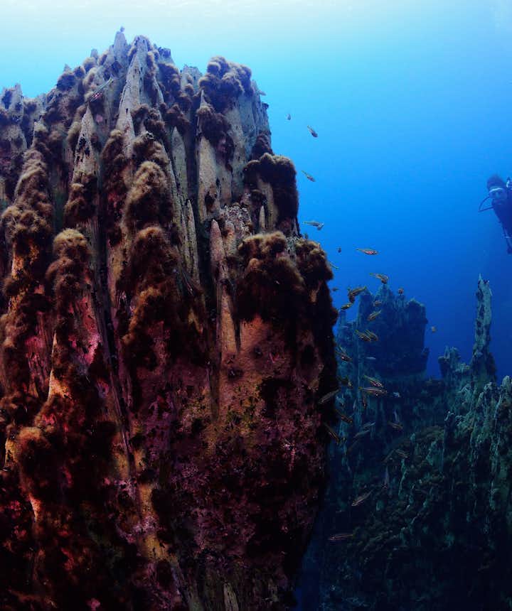 Guide to Diving in Coron: Best Dive Sites and Shipwrecks to Explore