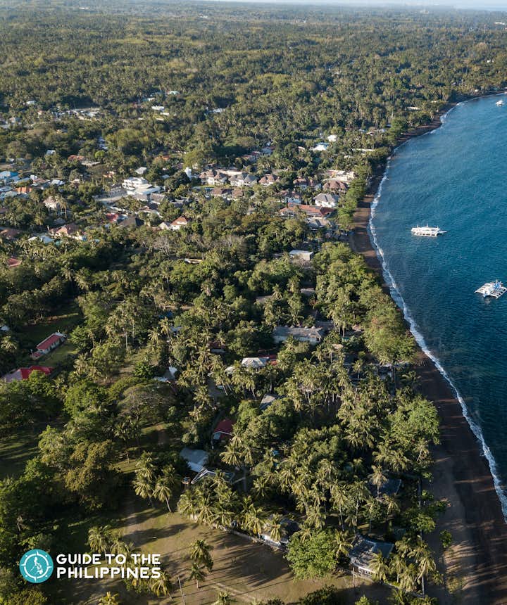 Aerial view of the coastline of Dauin