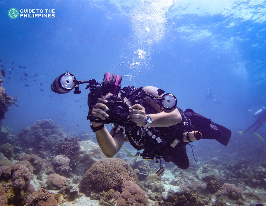 A diver taking a photograph in Anilao