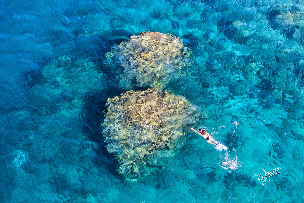 Guide to Diving in Anilao Batangas: Nudibranch Capital of...