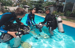Learning how to dive during the beginner's diving program in Panglao Bohol
