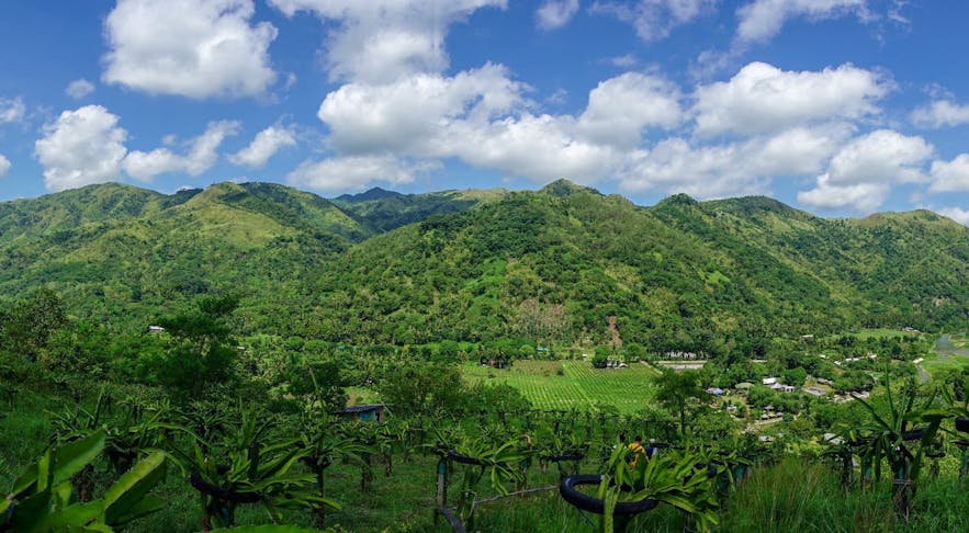Wonderful view of Palaya Farm in Rizal