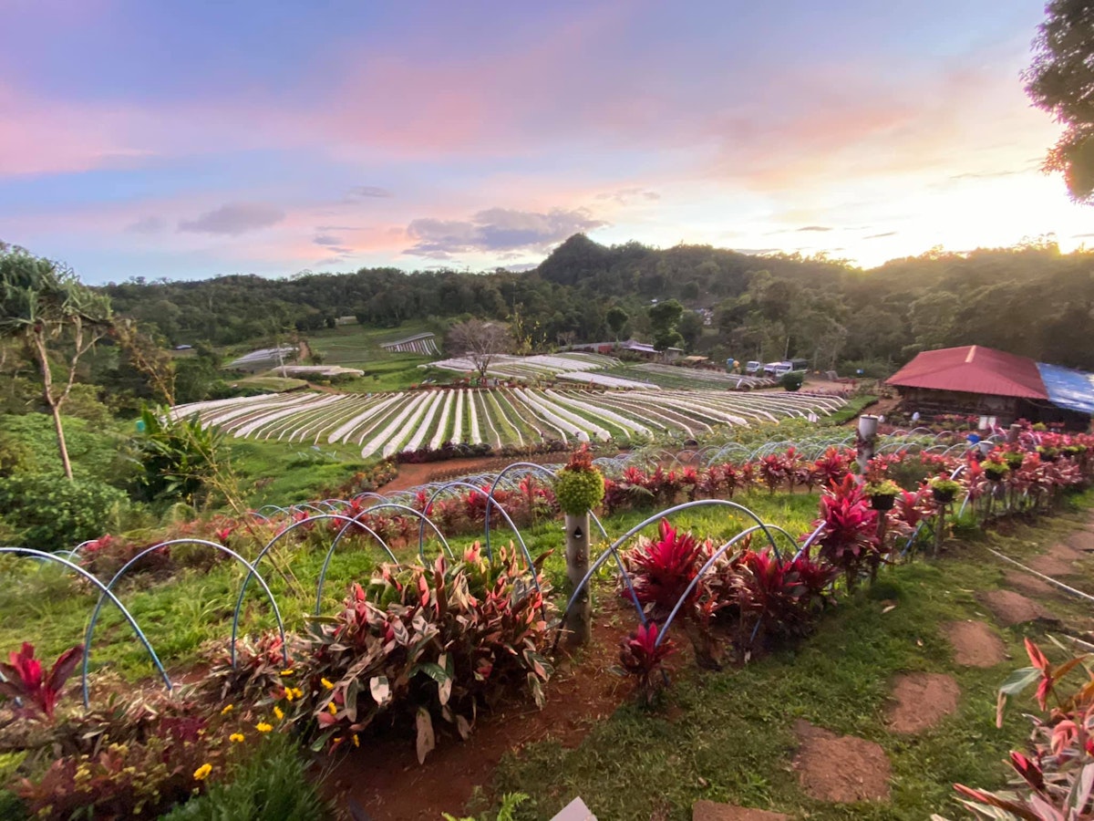 the future of farm tourism in the philippines