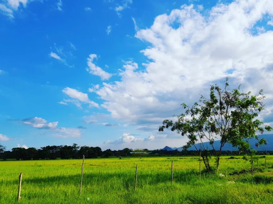 Clear blue skies and green landscape in Our Farm Republic