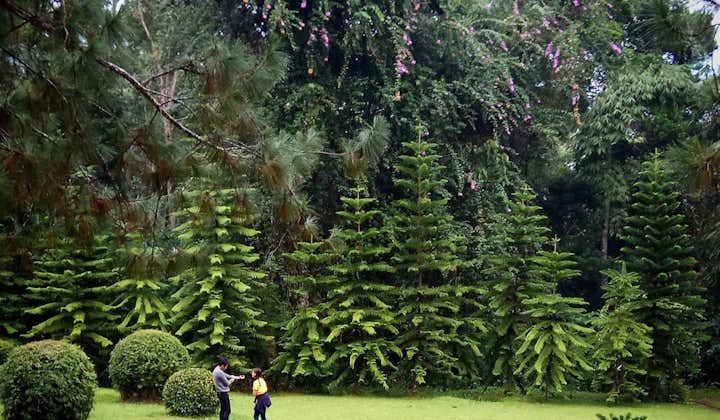 Green landscape of Eden Nature Park in Davao