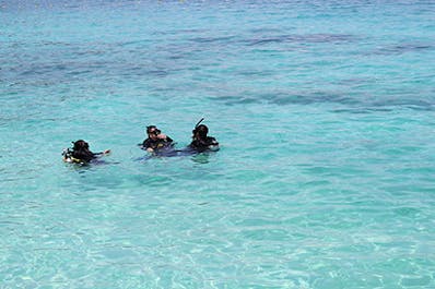 보홀 비치 클럽 리조트에서 스쿠버 다이빙의 기초를 배우는 여행자 세 명