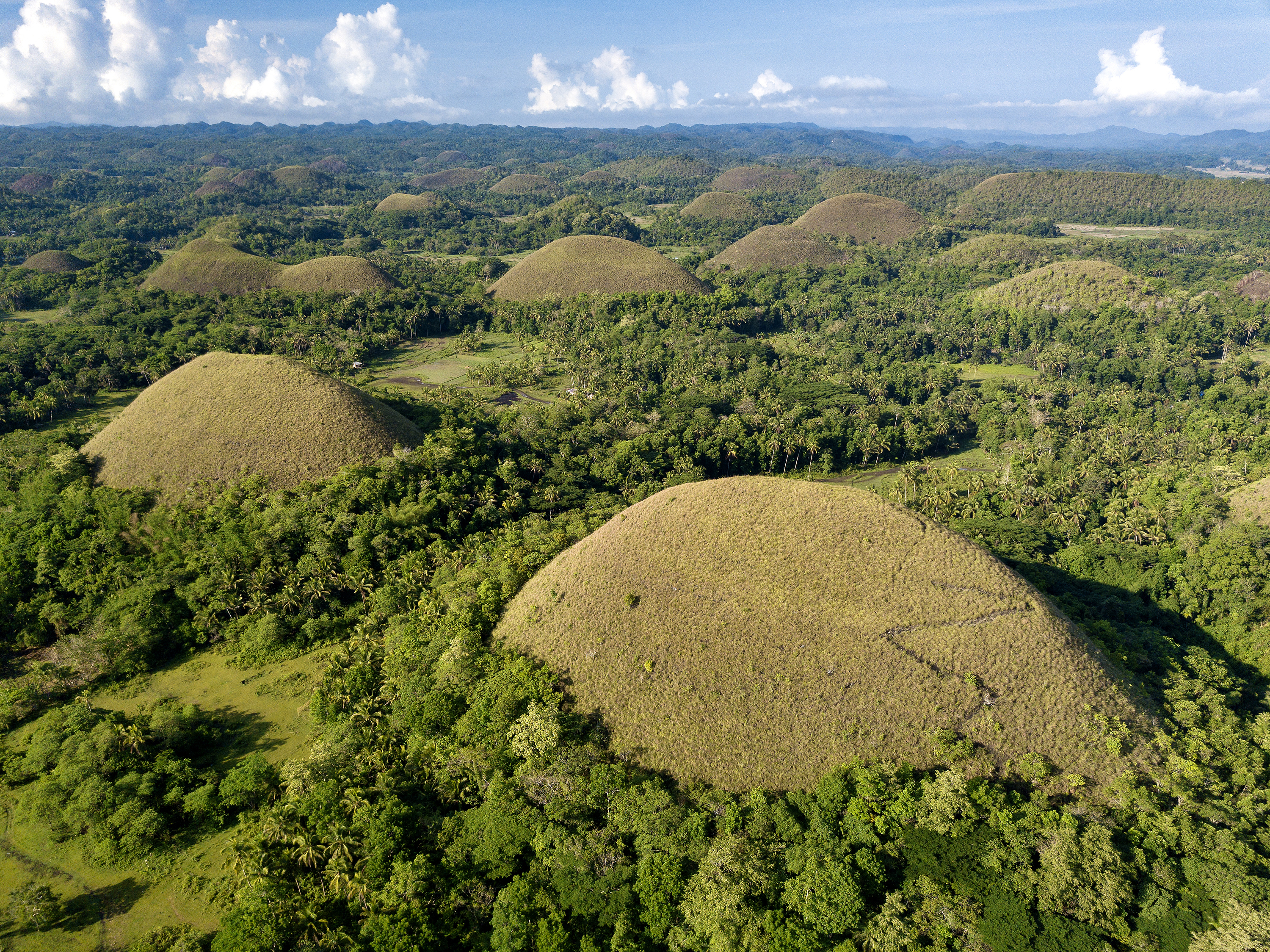 Aerial view of Chocolate Hills in Bohol