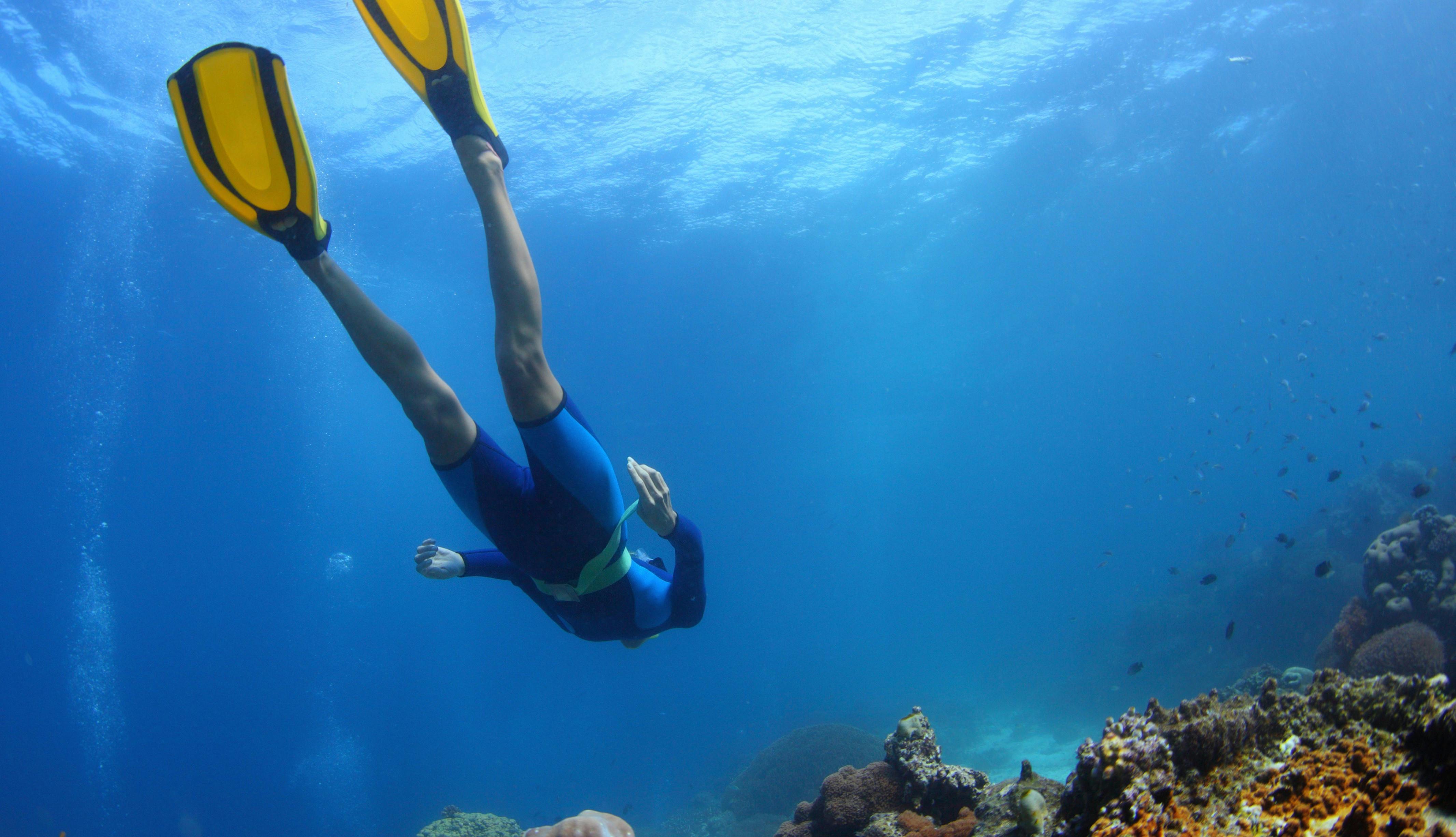 Diver at a Marine Sanctuary