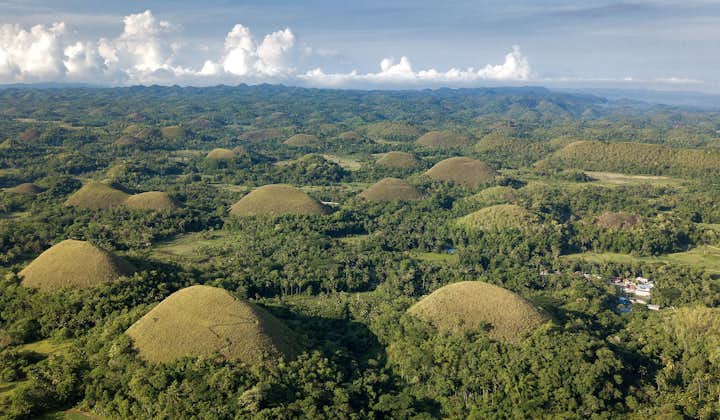 Famous tourist spot called Chocolate Hills in Bohol
