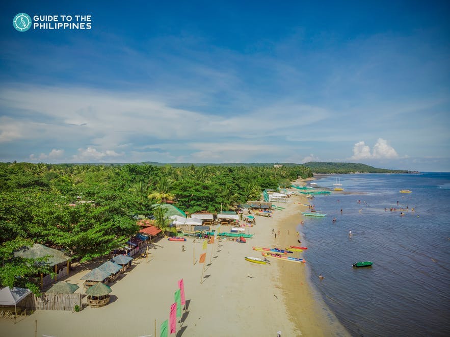 Aerial view of a beach in Laiya Batangas
