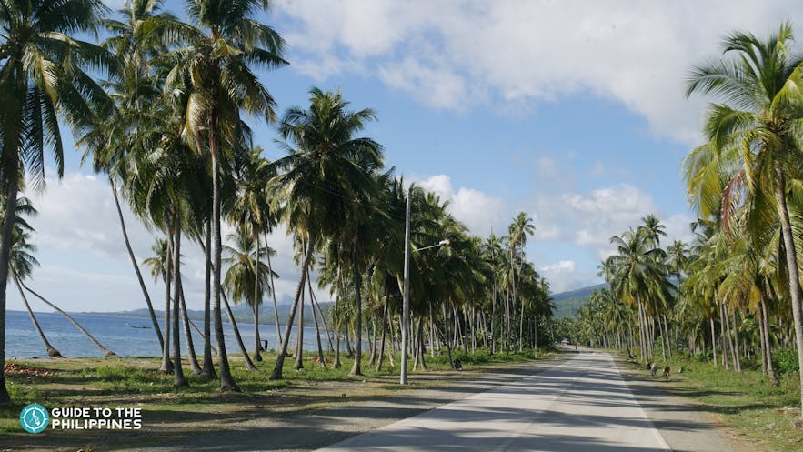 Stunning roadside scenery in Davao