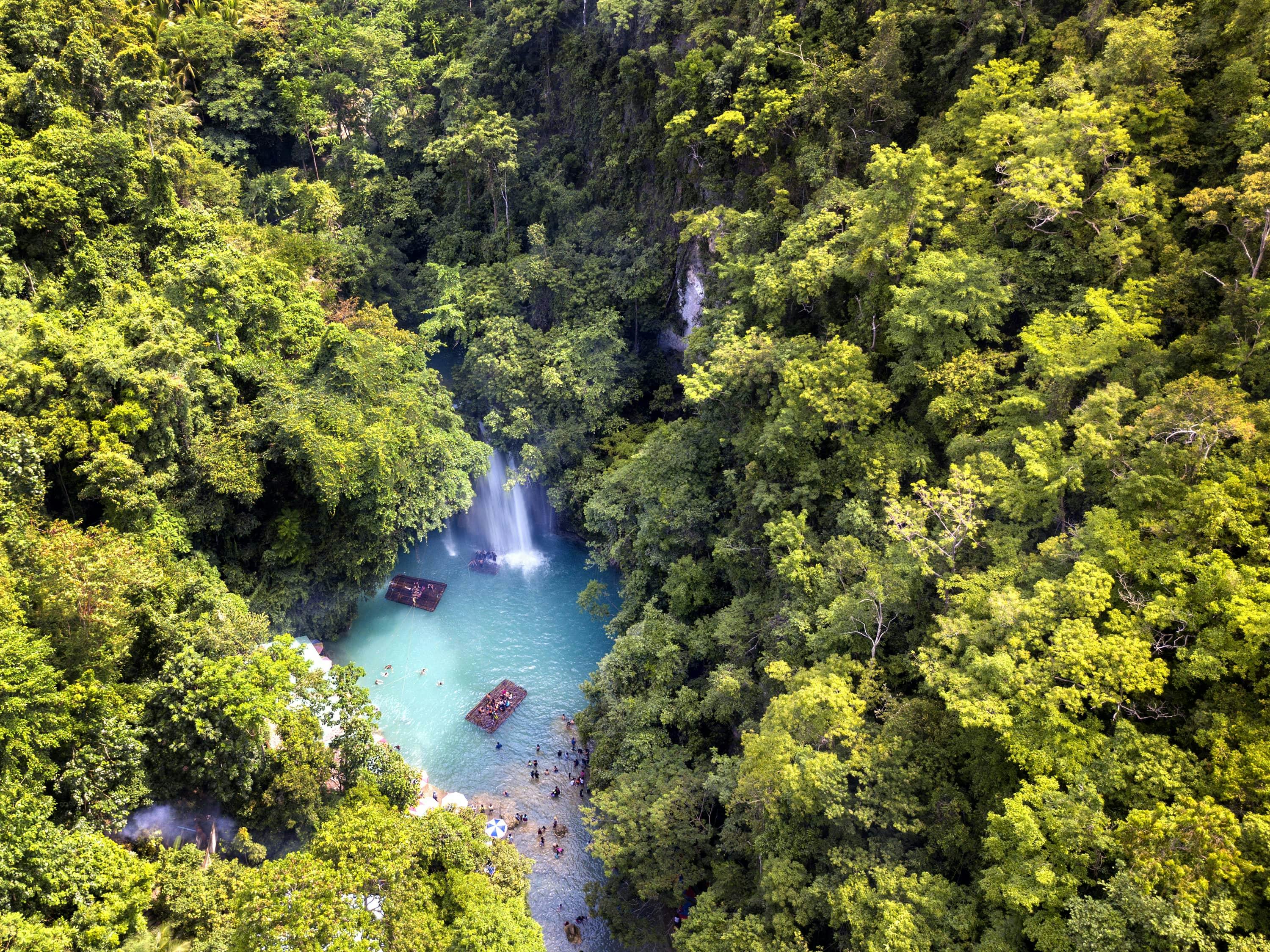 Lush forests and blue waters in Kawasan Falls Cebu