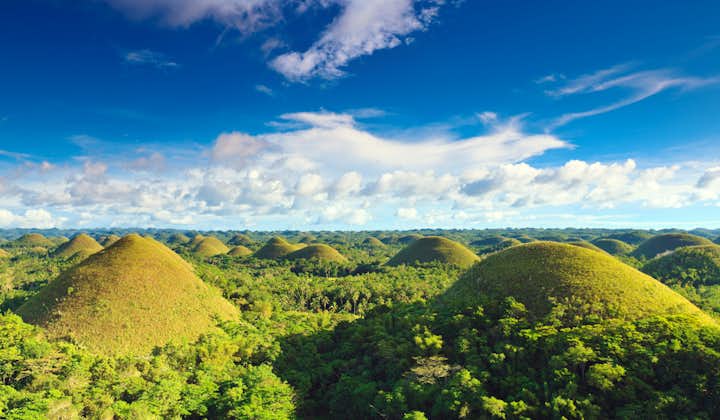 Sunny day in Chocolate Hills