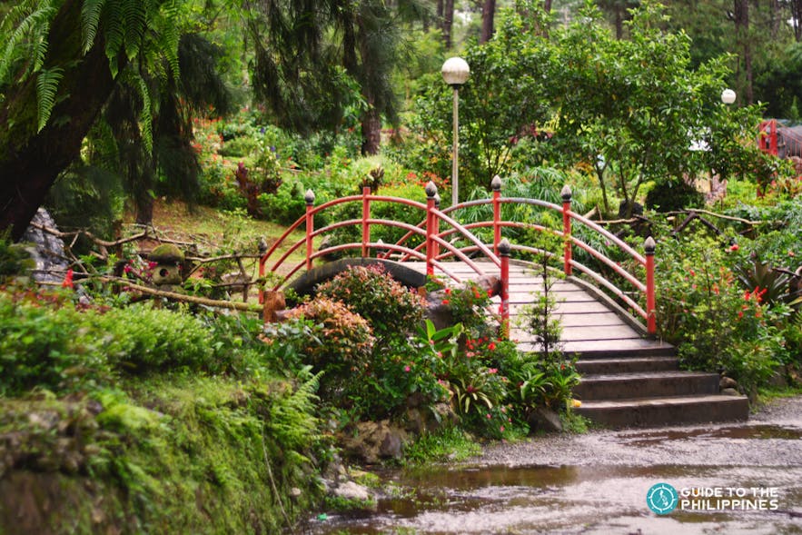 Bridge inside the Botanical Garden of Baguio City