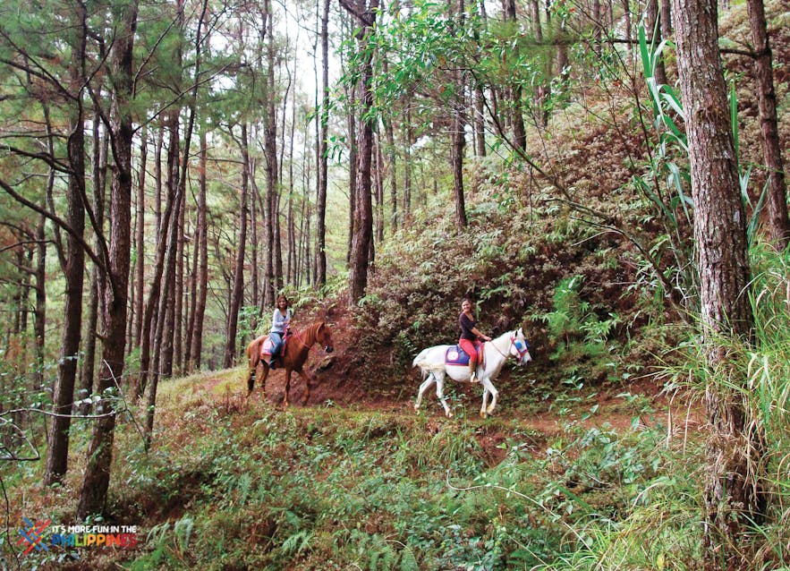 Horse-back riding experience in Camp John Hay