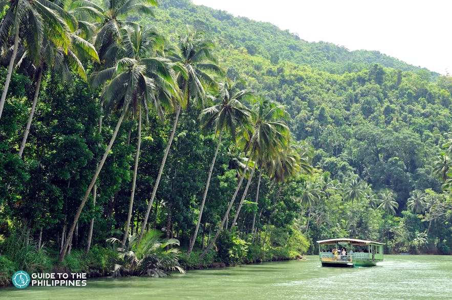 Emerald waters and lush forest at Loboc River in Bohol