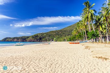 Top 10 Tours &amp; Activities in Puerto Princesa Palawan	
	
	