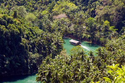 Loboc River Cruise experience in Bohol
