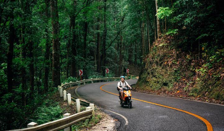 A man motorcycling in Bilar Manmade Forest