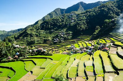 Houses in a rice terraces in Banaue