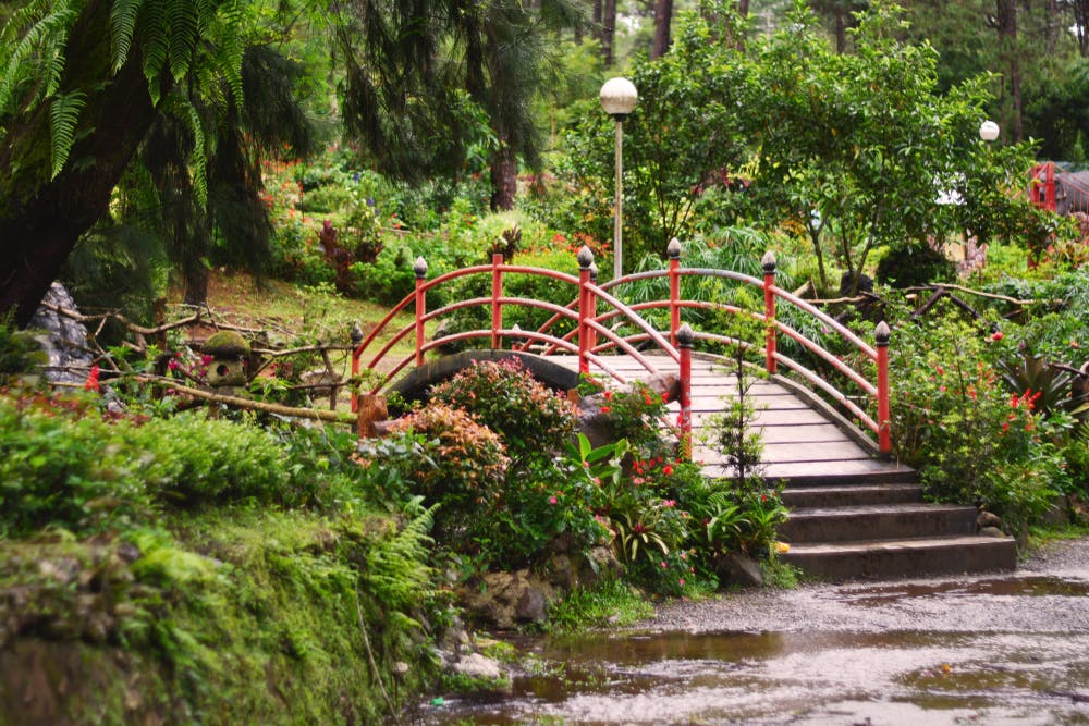 Bridge in a botanical garden in Baguio