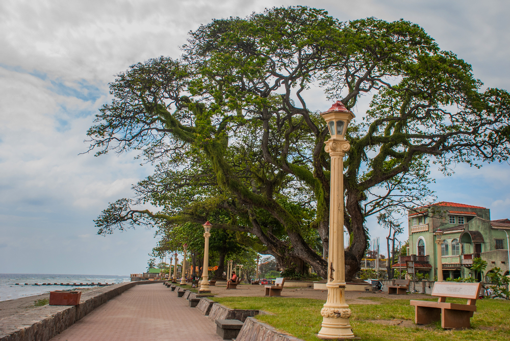 Benches in Rizal Boulevard, Dumaguete