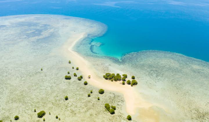 Aerial view of an island in Honda Bay Palawan